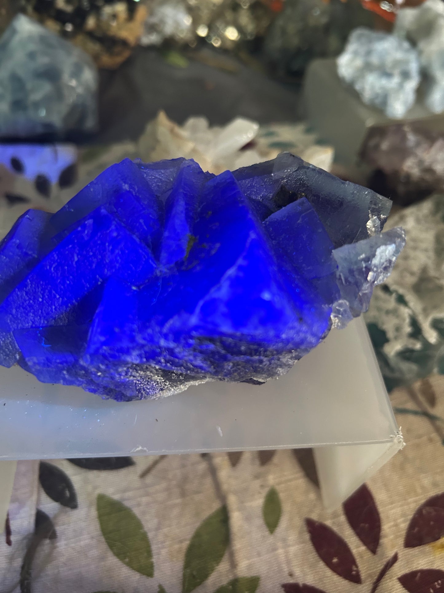 Rare Blue Cubic Fluorite with Purple Phantom