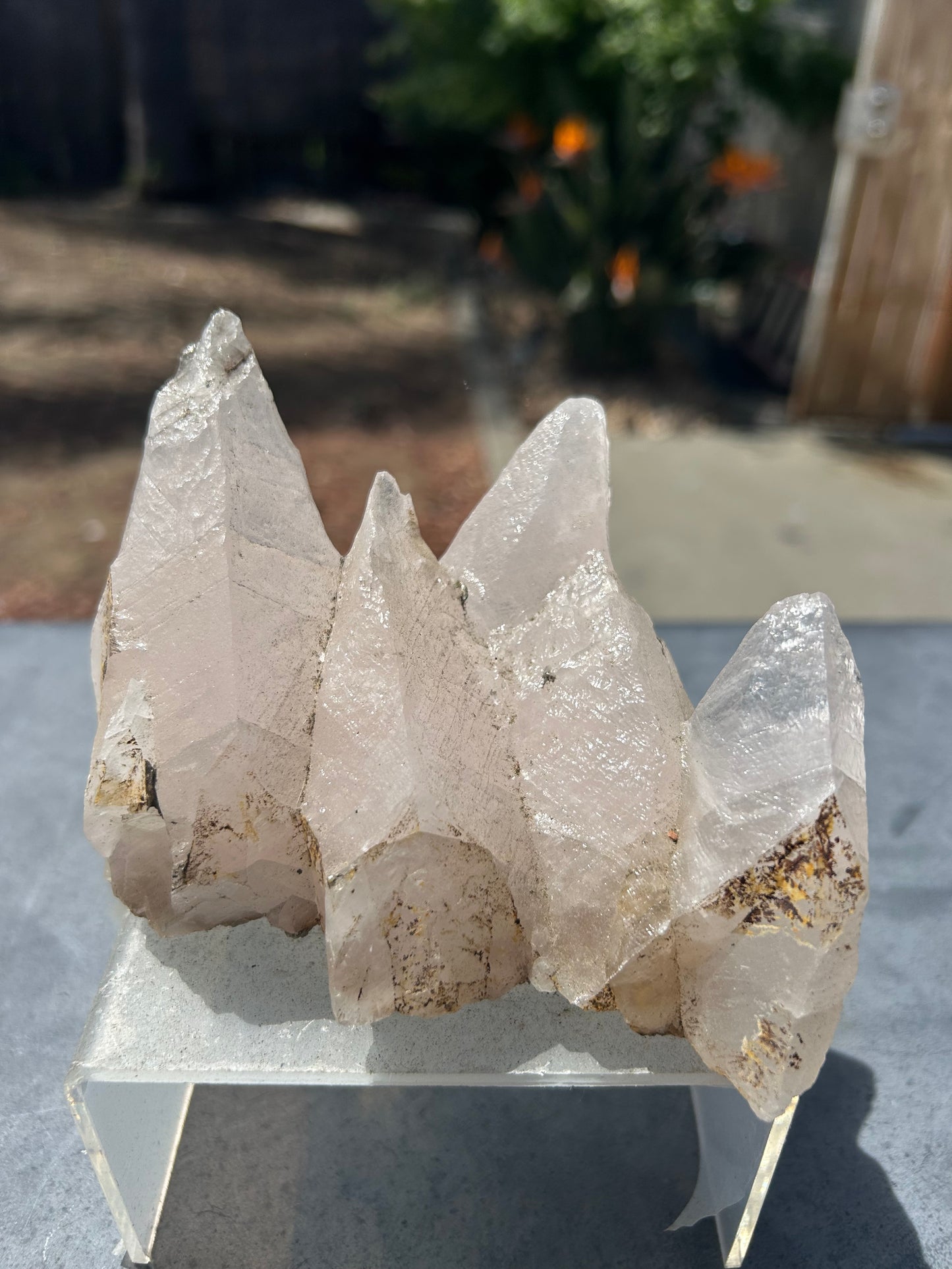 Rare Pink Dogtooth Calcite