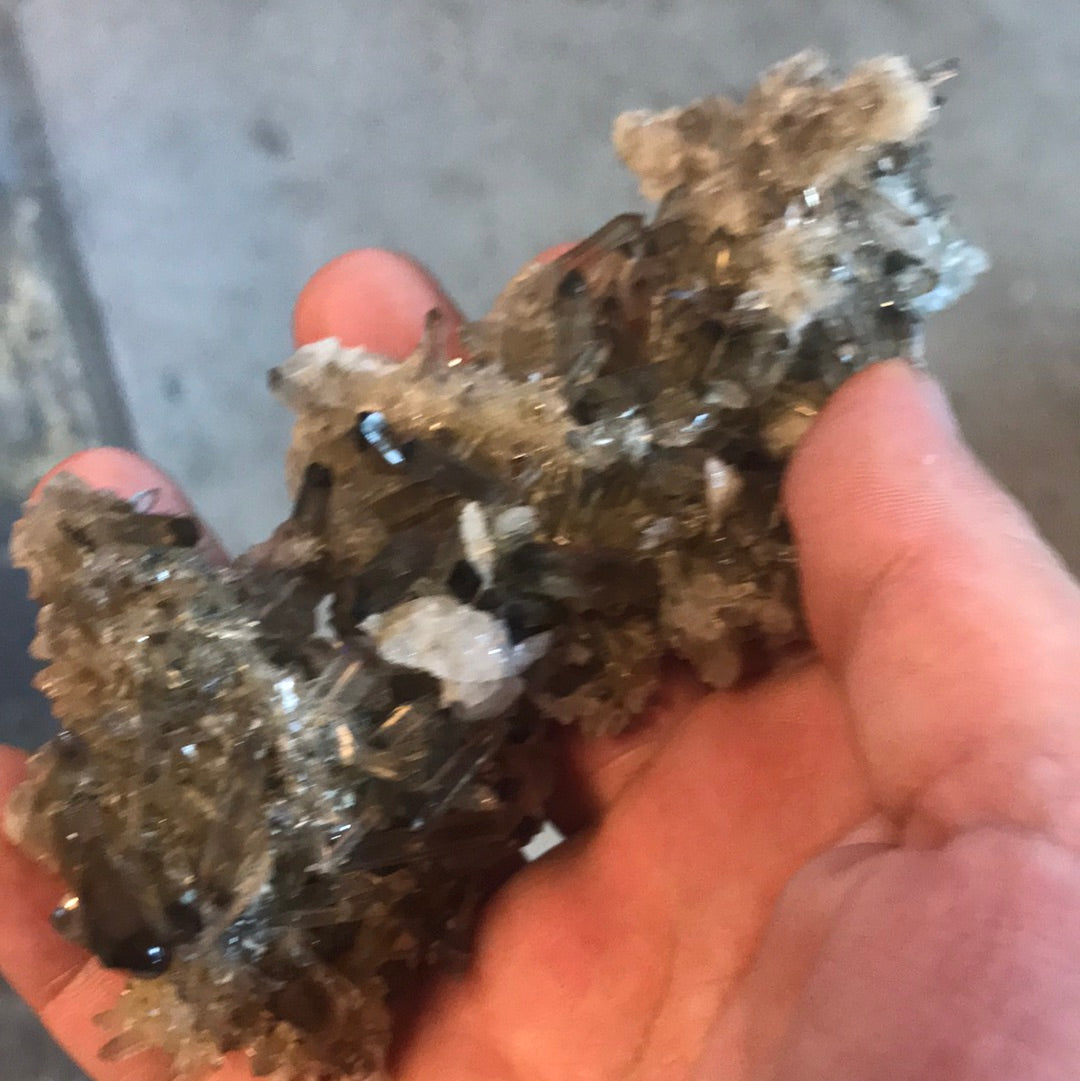 Smokey cluster Anna Marie