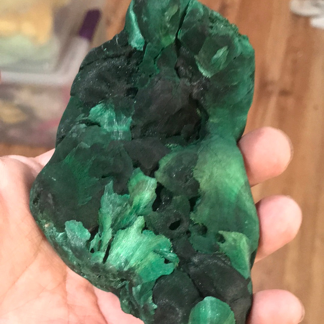 Velvet malachite Miranda