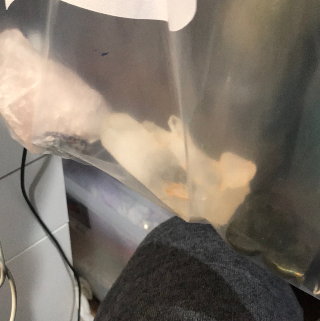 Claim bag Davenport