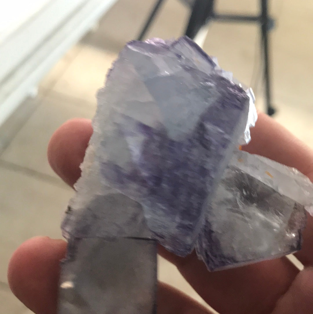 Velvet obsidian KCbsecsee