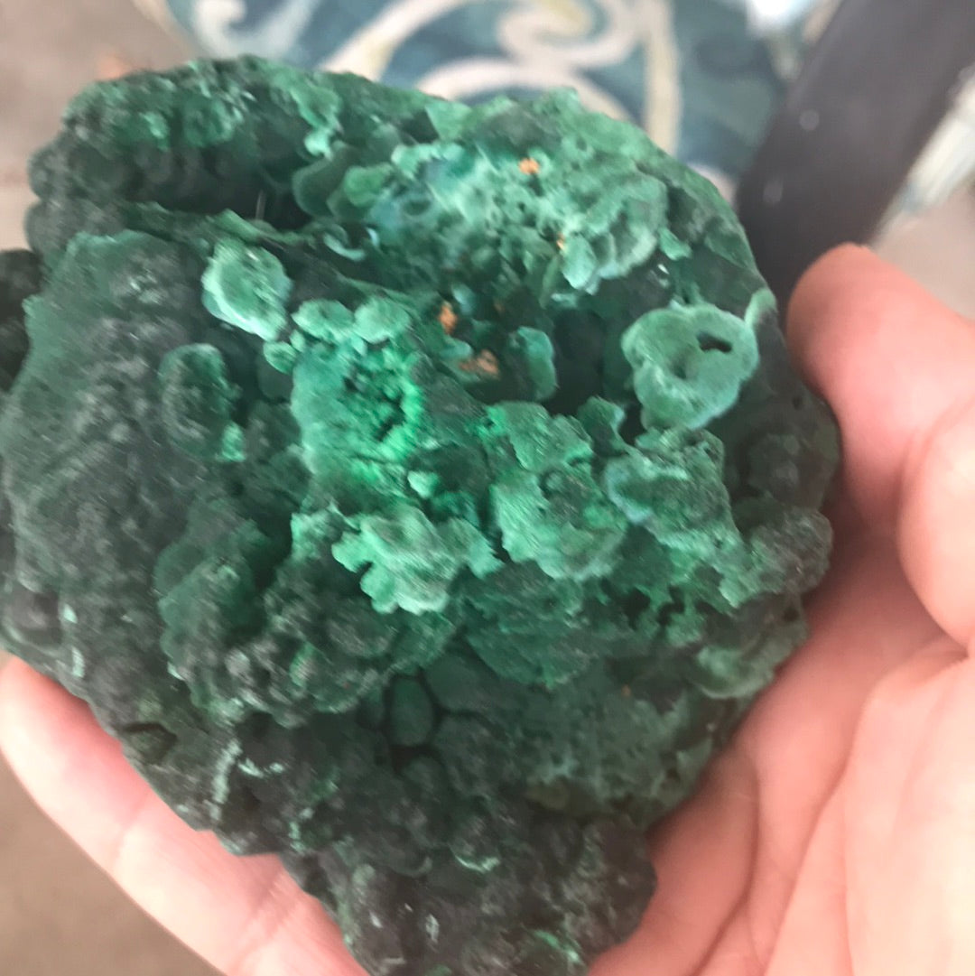Velvet Malachite Summer
