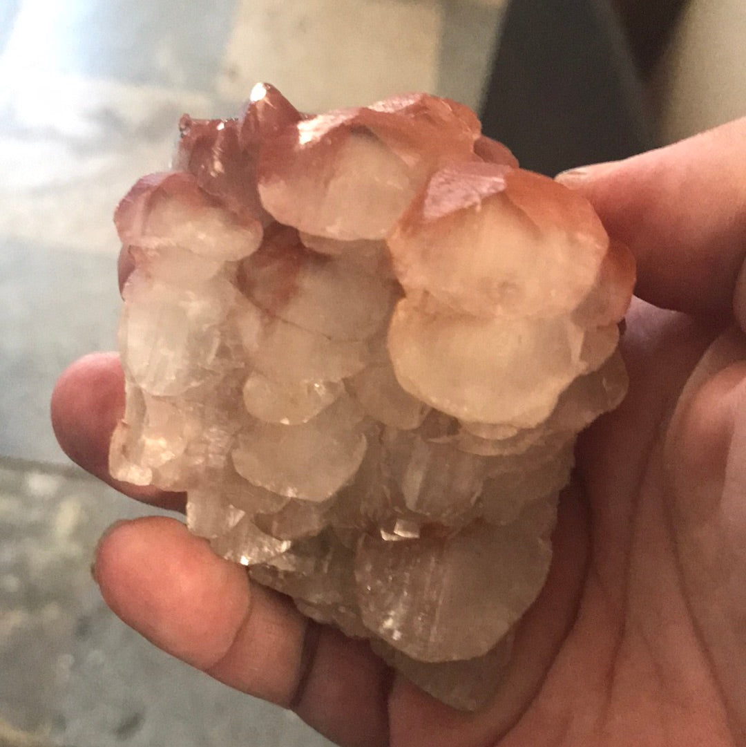 Pagoda Calcite Wildflower