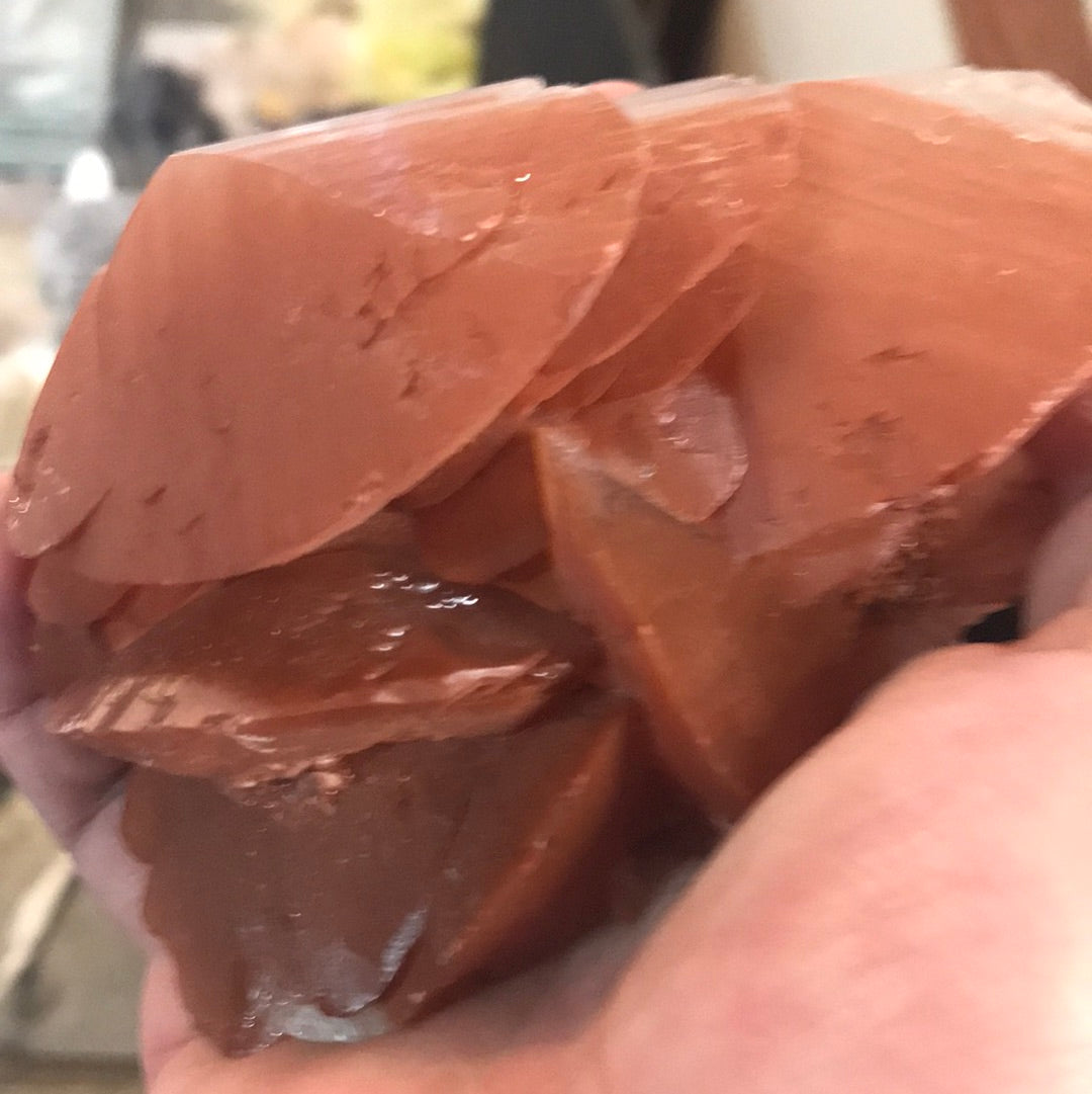 Mushroom Calcite Pagoda spidey