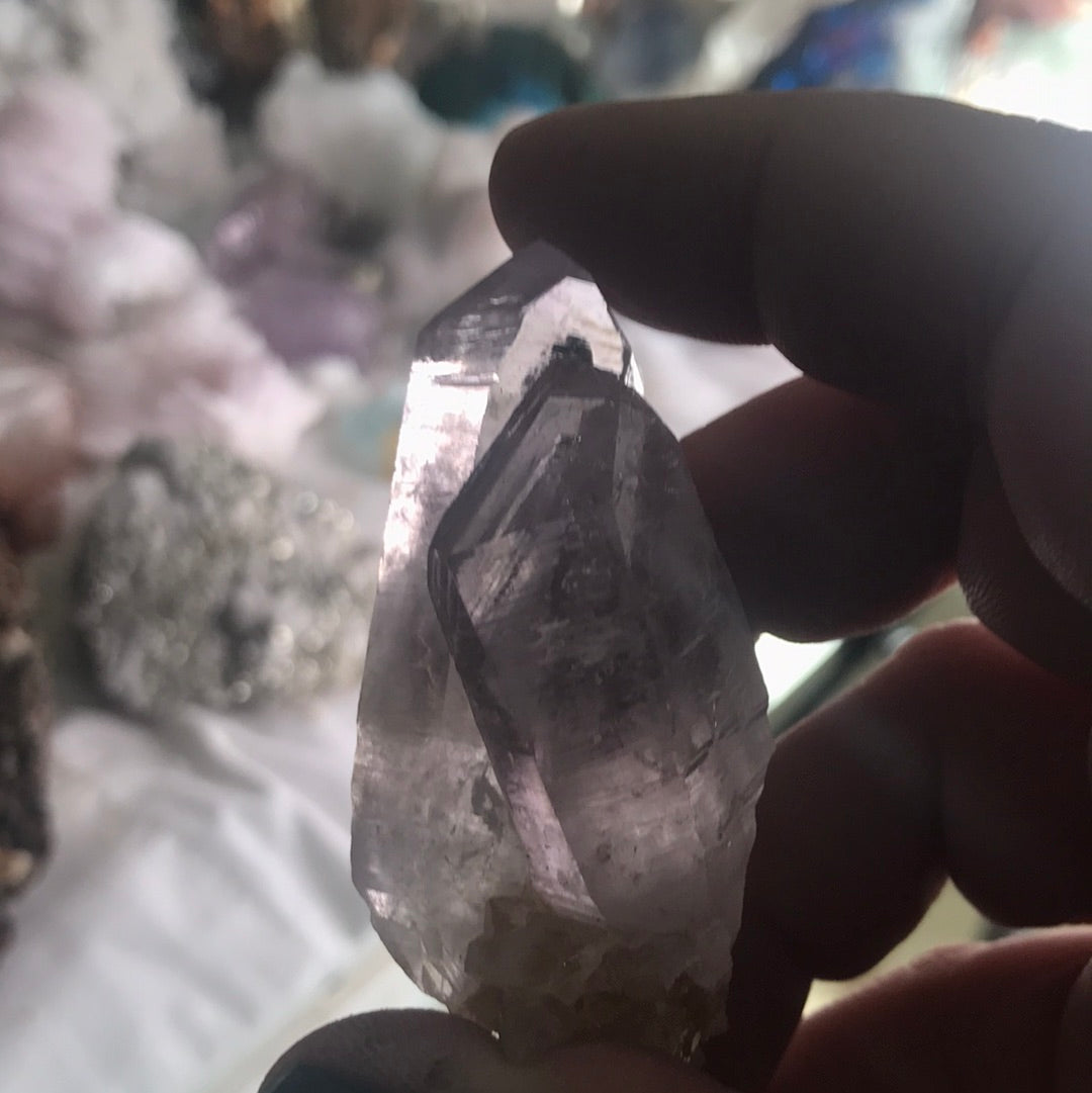 Vera Cruz Amethyst Nina noxious