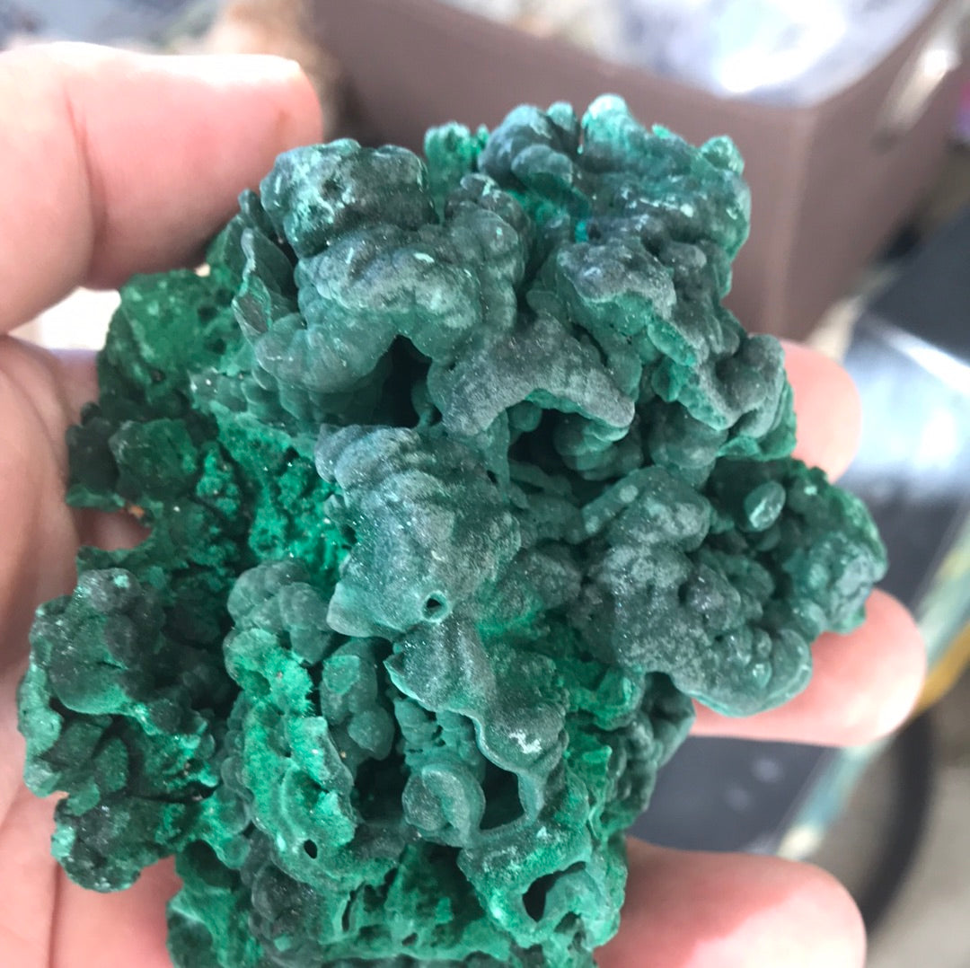 Green malachite Suzette