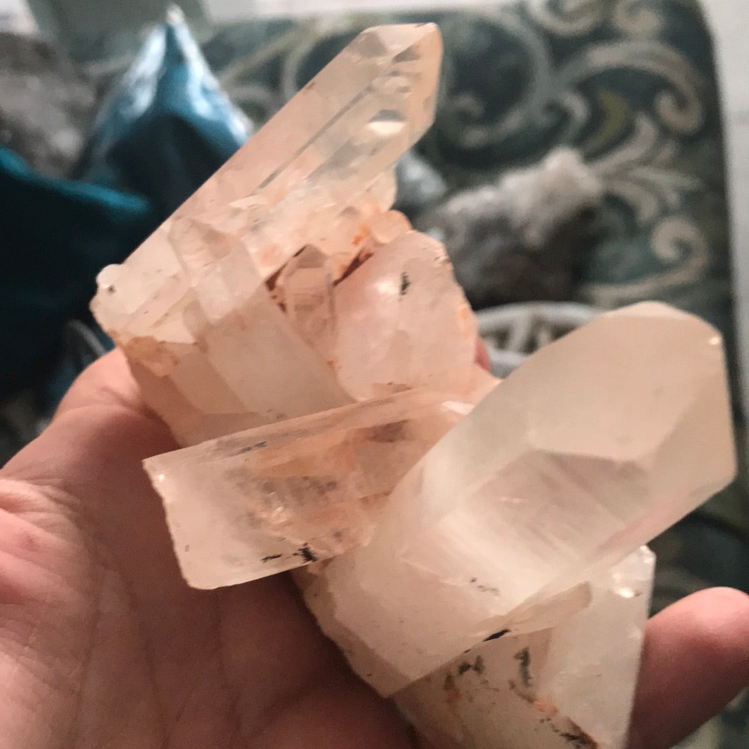 Pink phantom quartz Kristen