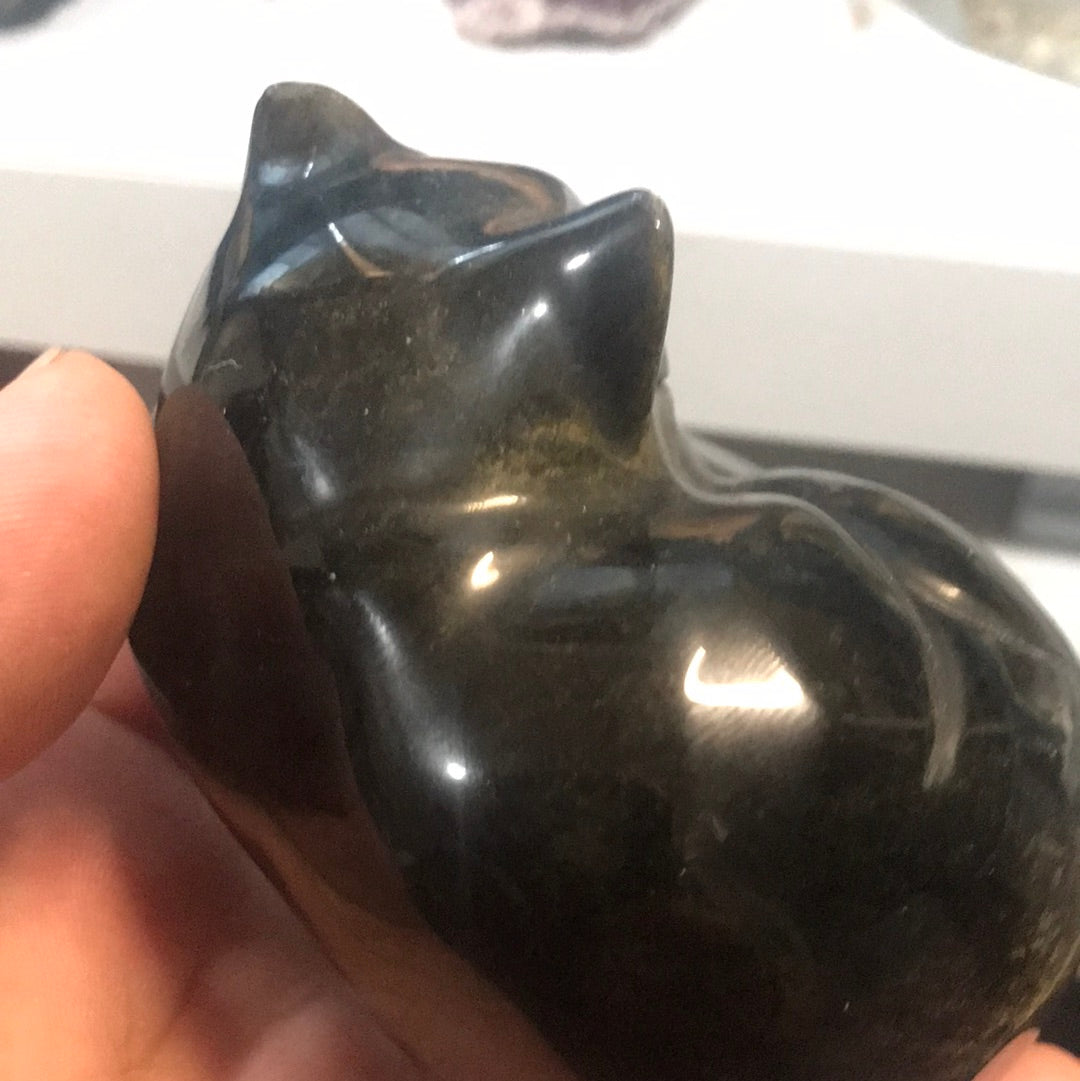Gold obsidian Kitty