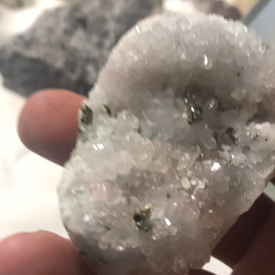 Purple sided fluorite gloriae 555