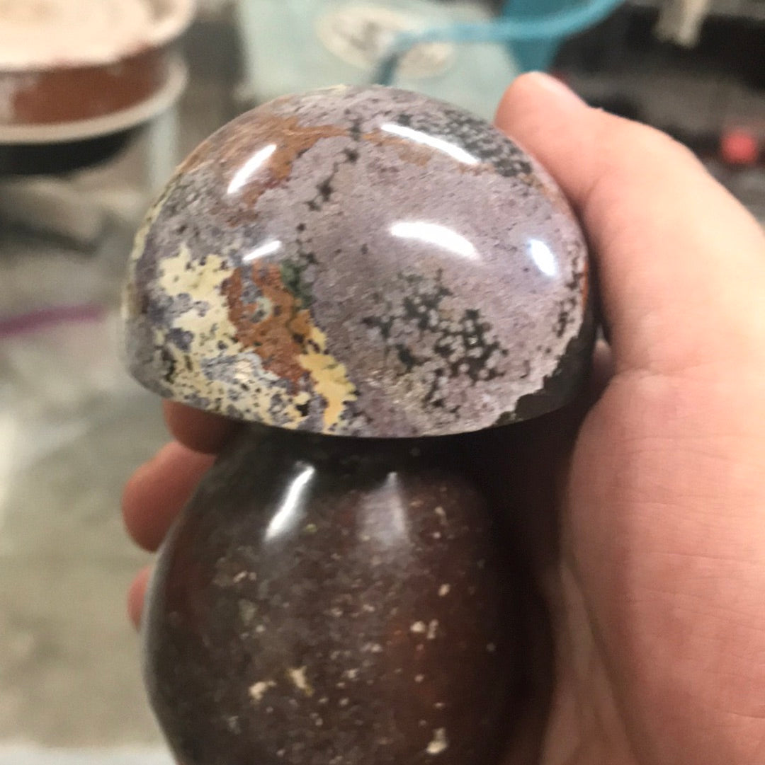 Moon and Ocean Jasper mushroom Tammy