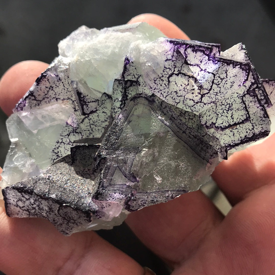 YGX Fluorite Morgan purple side fluorite