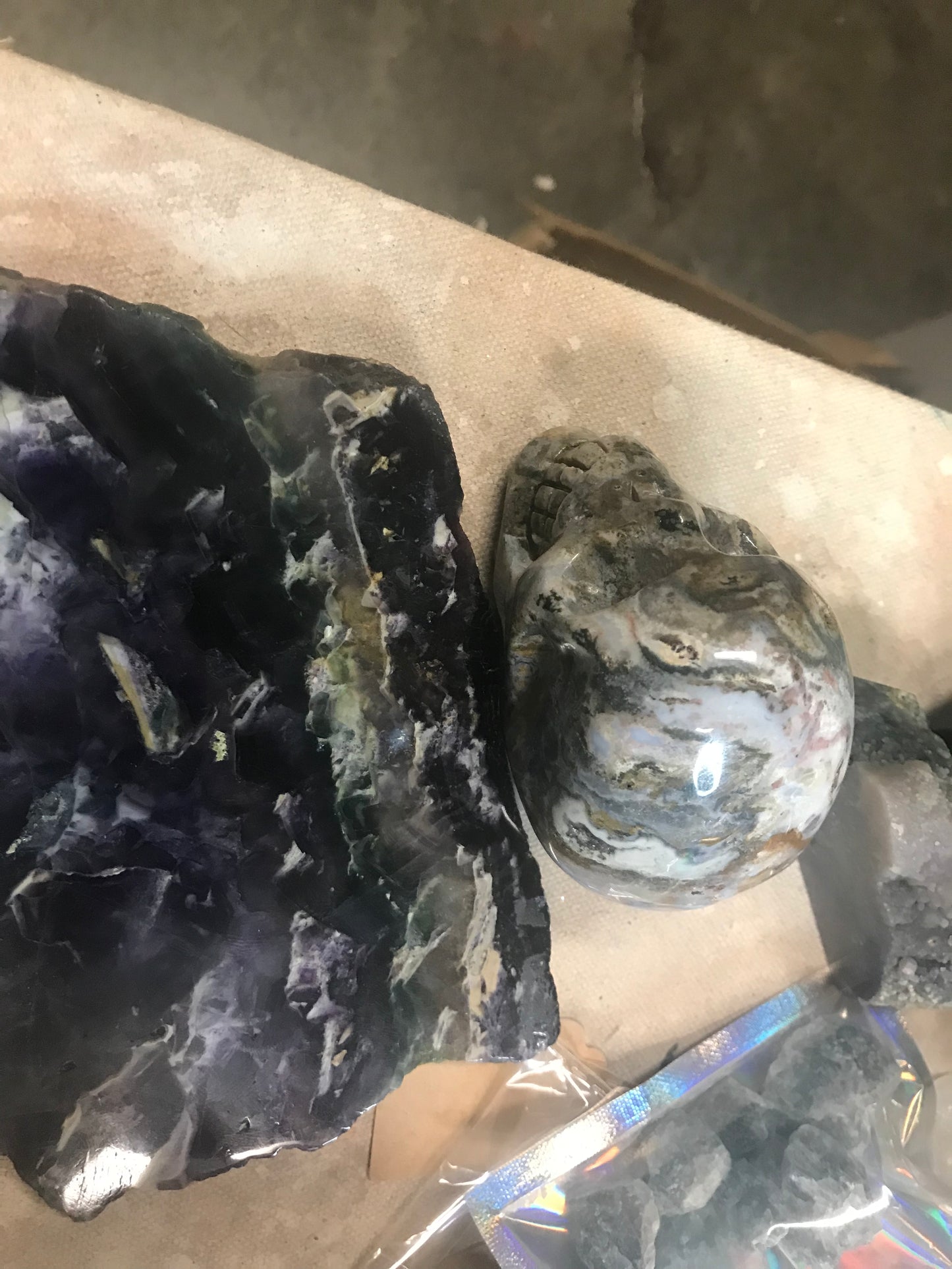 Tilly slab and skull