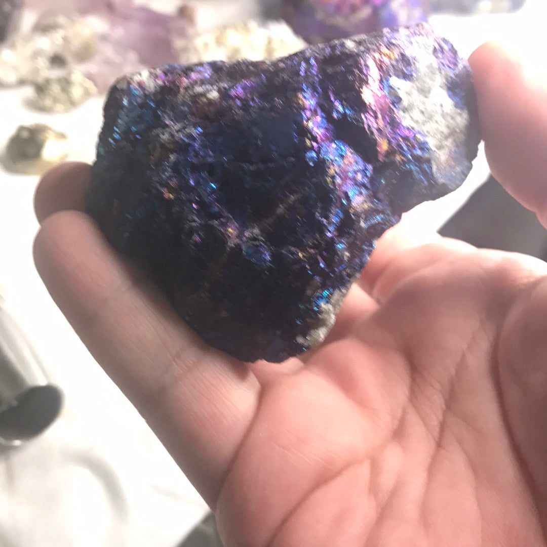 Peacock ore melisa