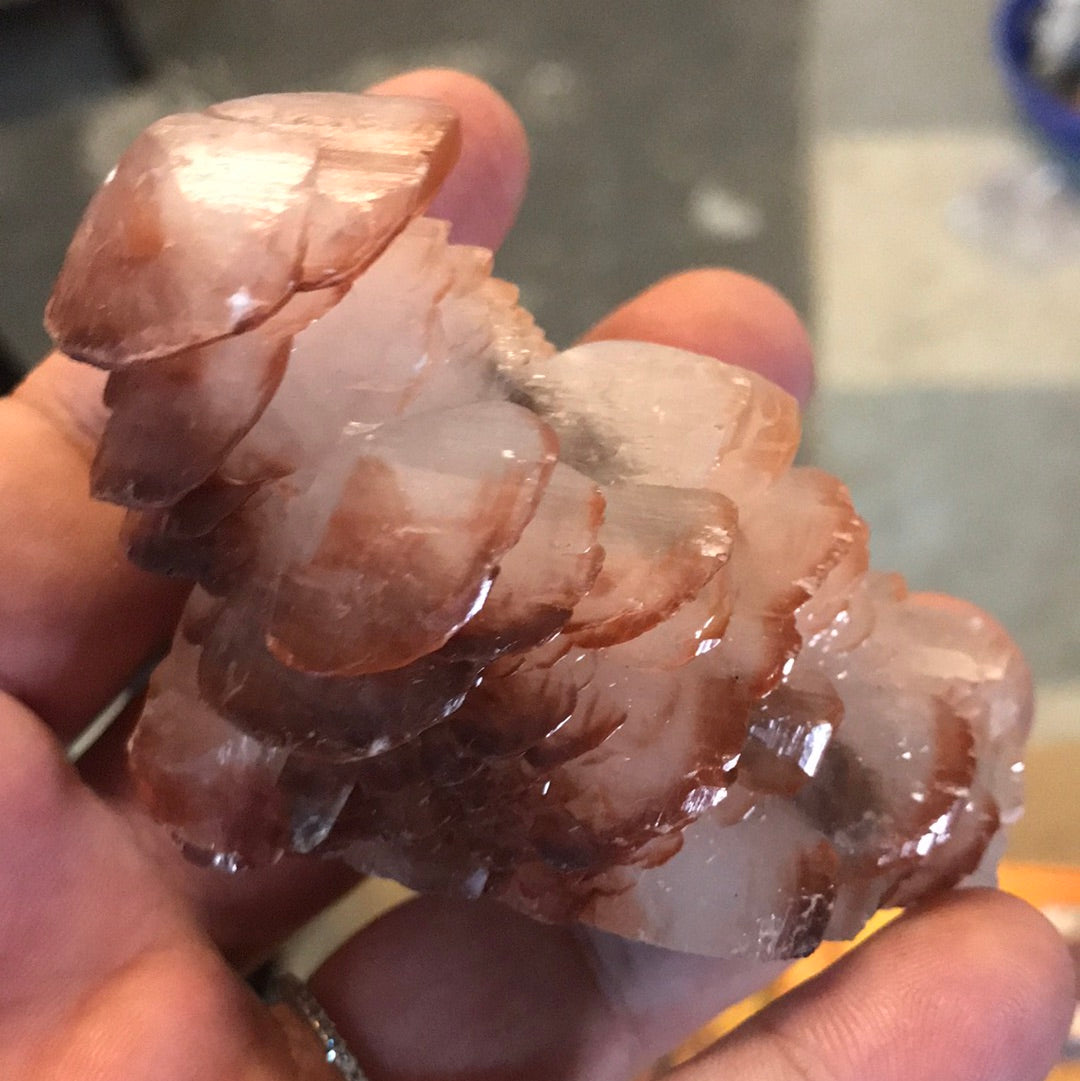 Mushroom calcite maegan