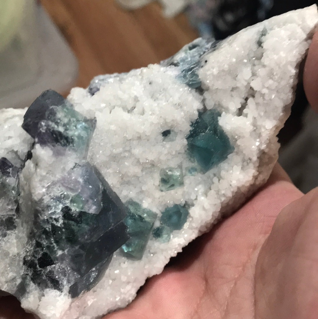 Purple green fluorite batwing