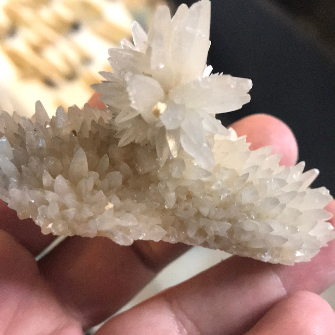 Smokey citirine diary