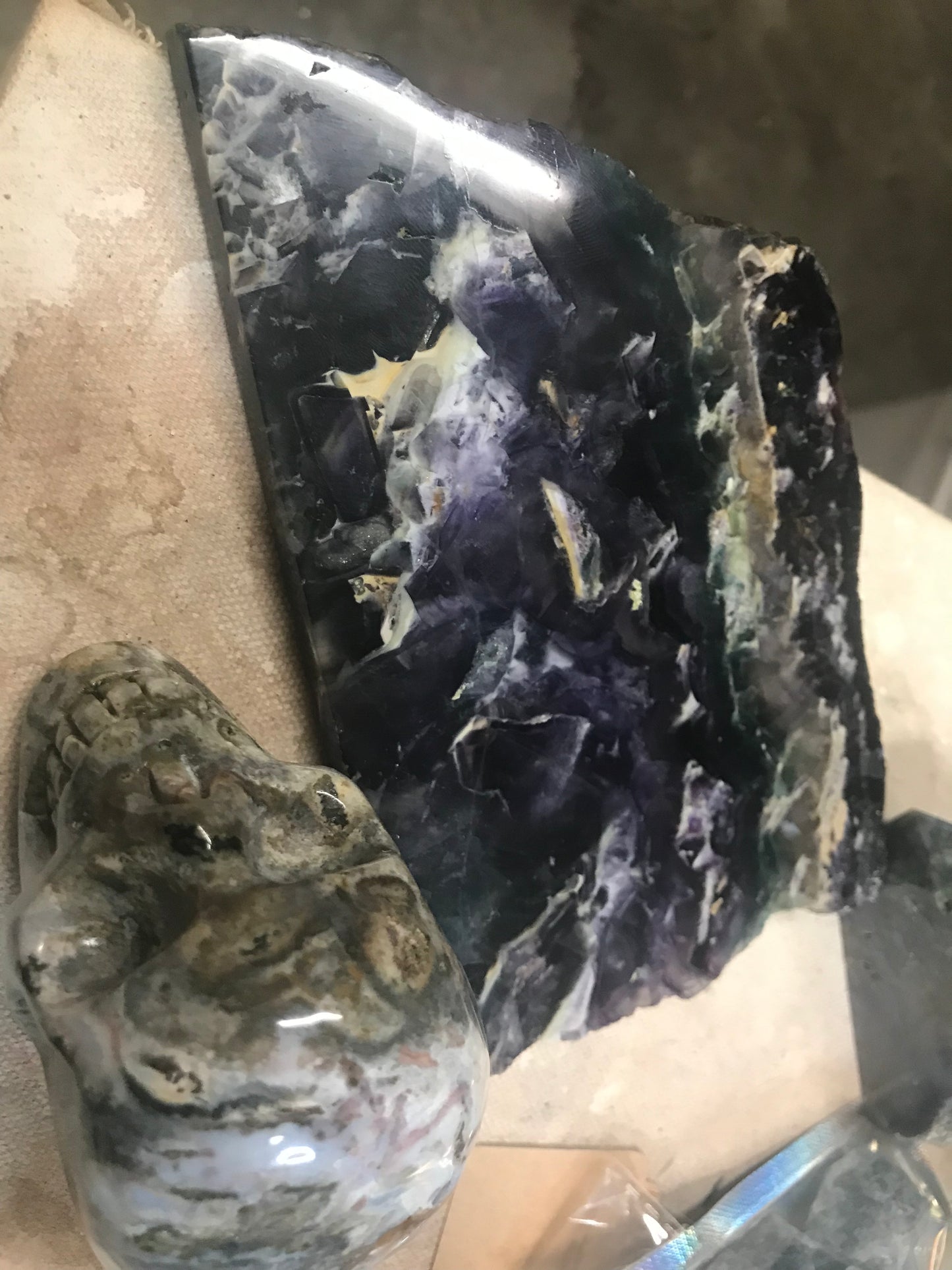 Tilly slab and skull