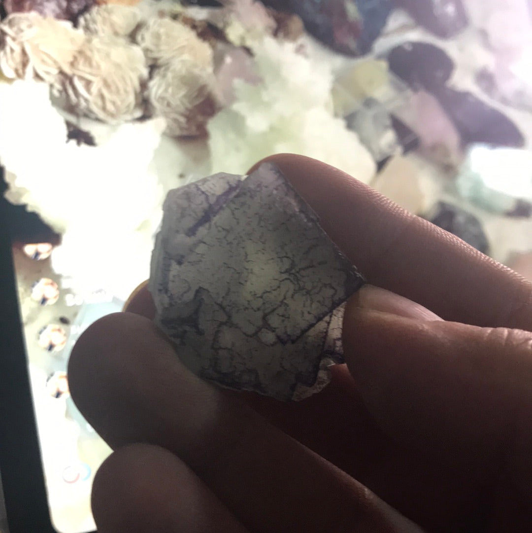 Purple sided fluorite and phantom Tibetan quartz Suzette