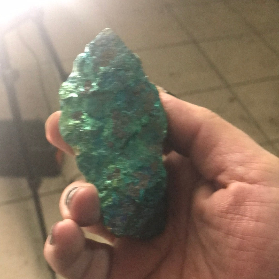 Rainbow and Silver Obsidian pure blood patriot