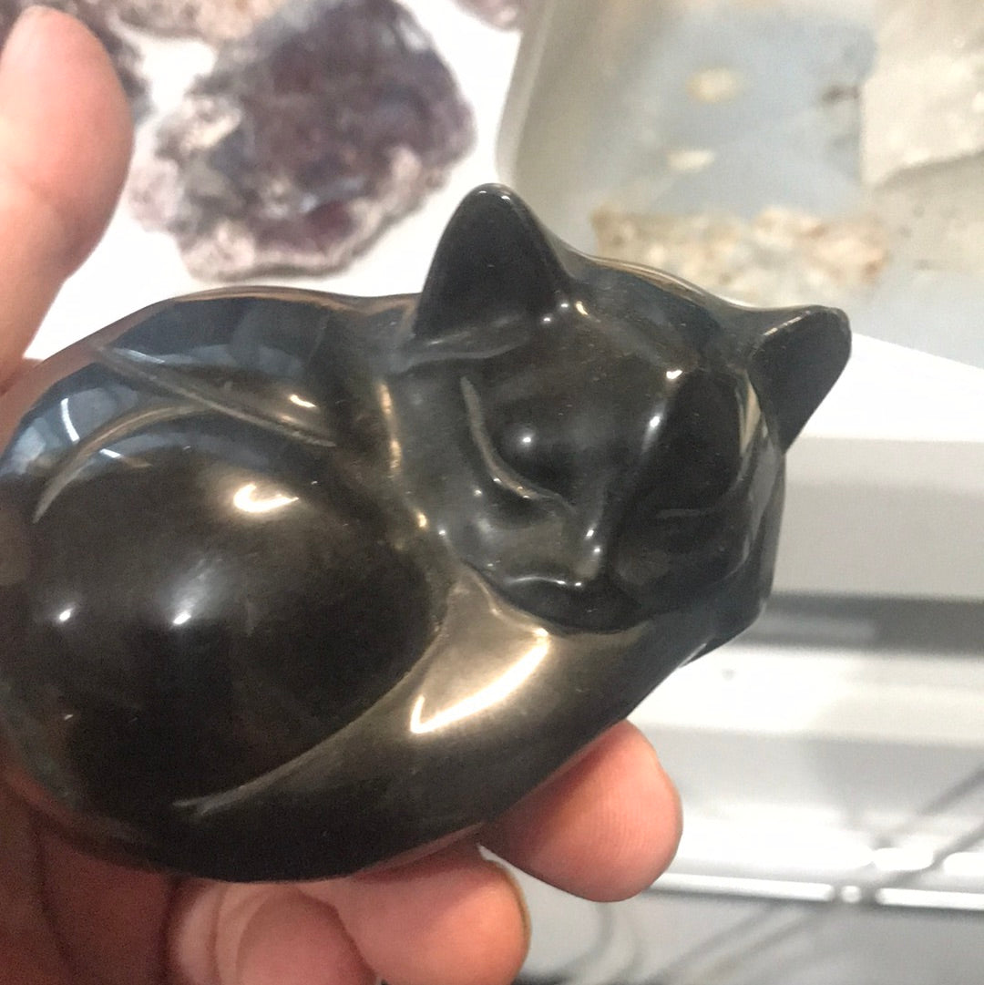 Gold obsidian Kitty