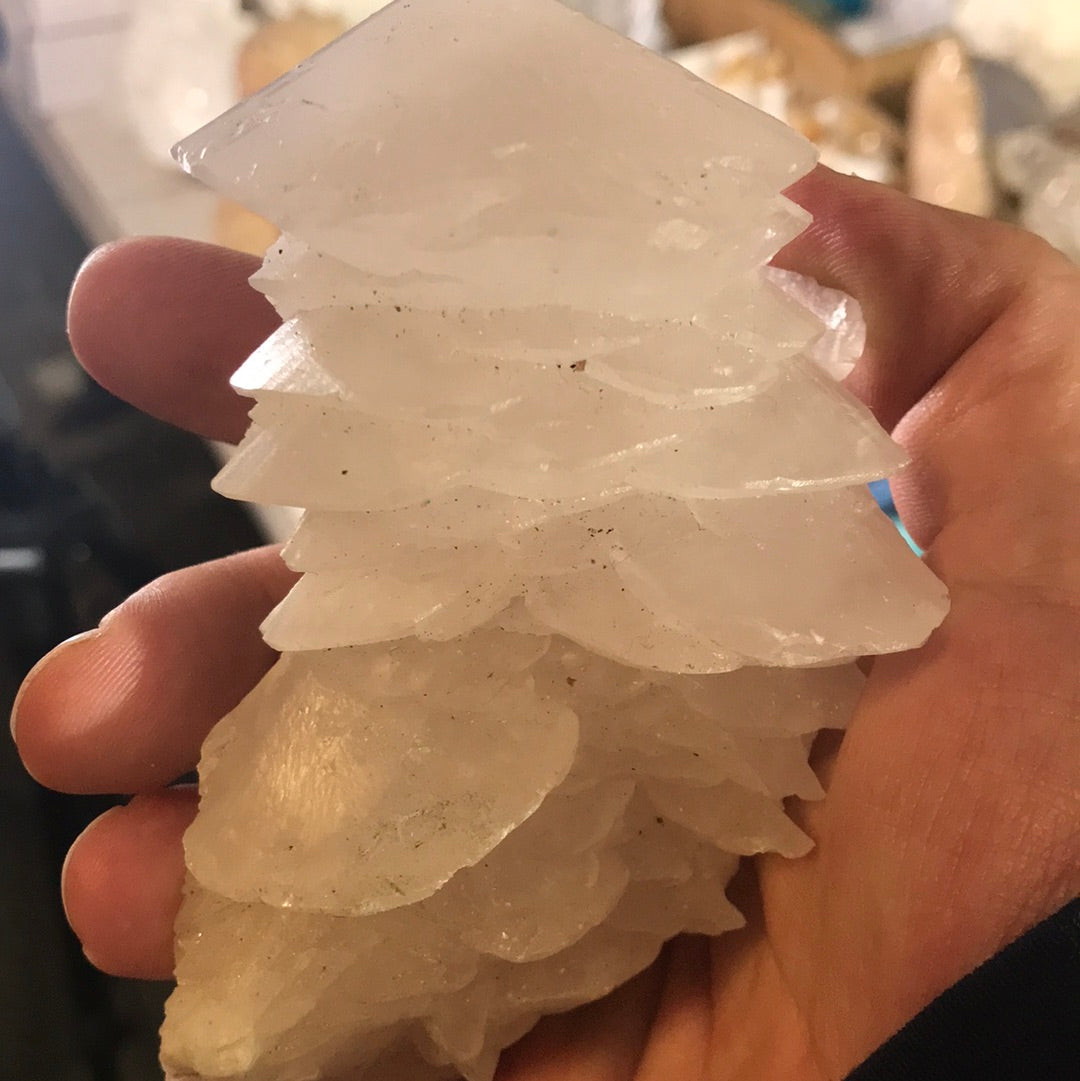 Pink Mushroom Calcite pure blood patriot