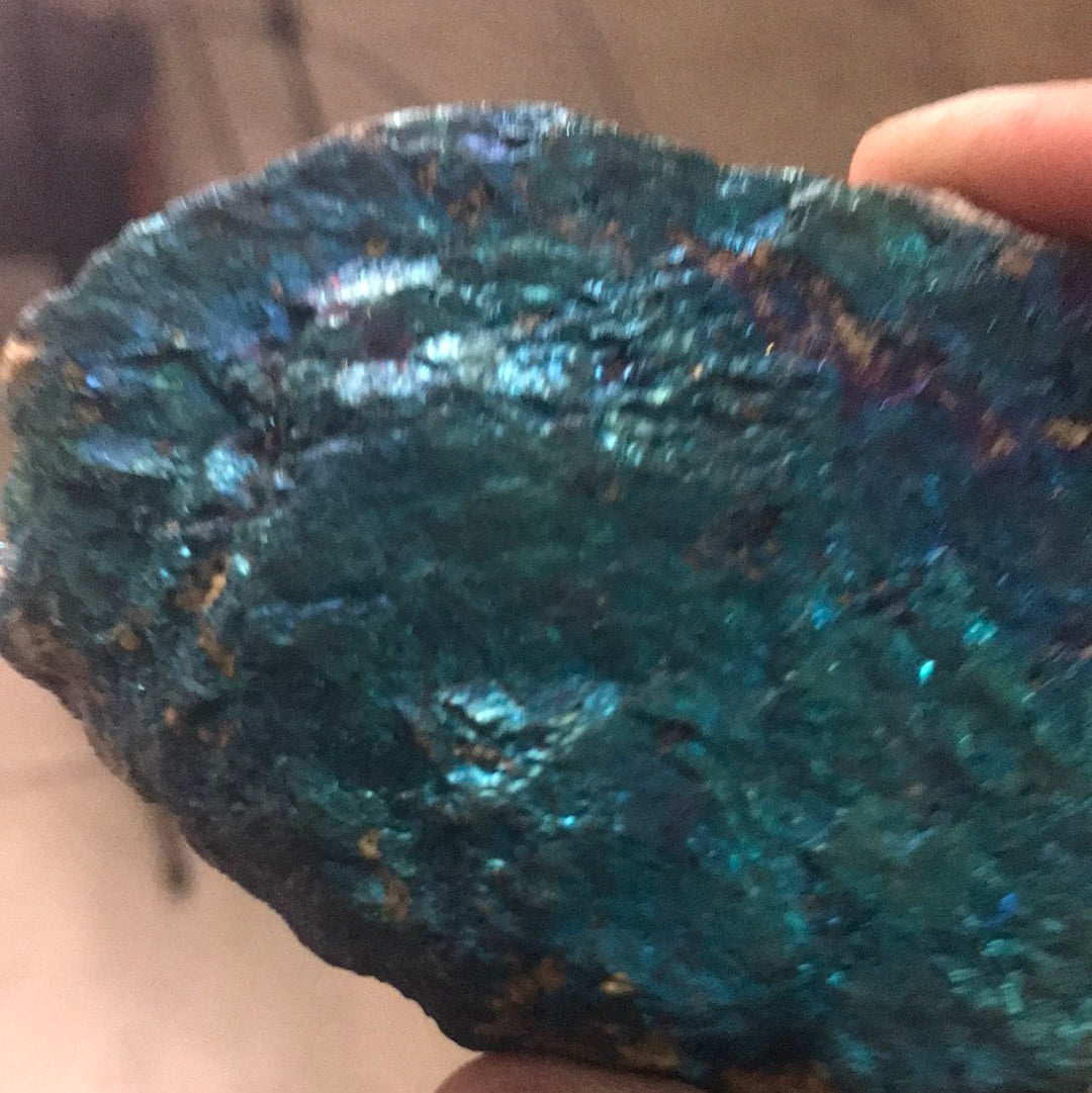 Rainbow and Silver Obsidian pure blood patriot