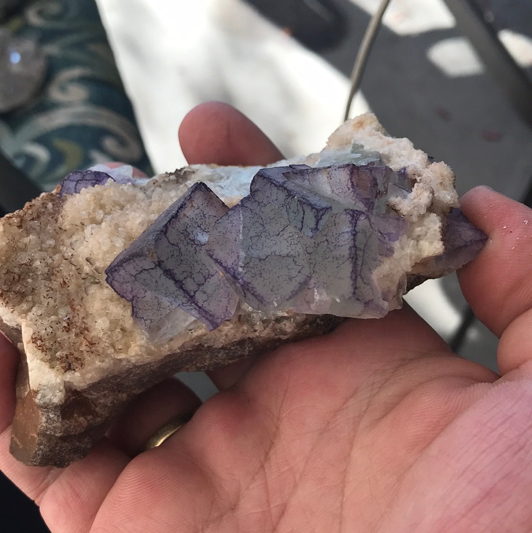 YGX Fluorite Morgan purple side fluorite