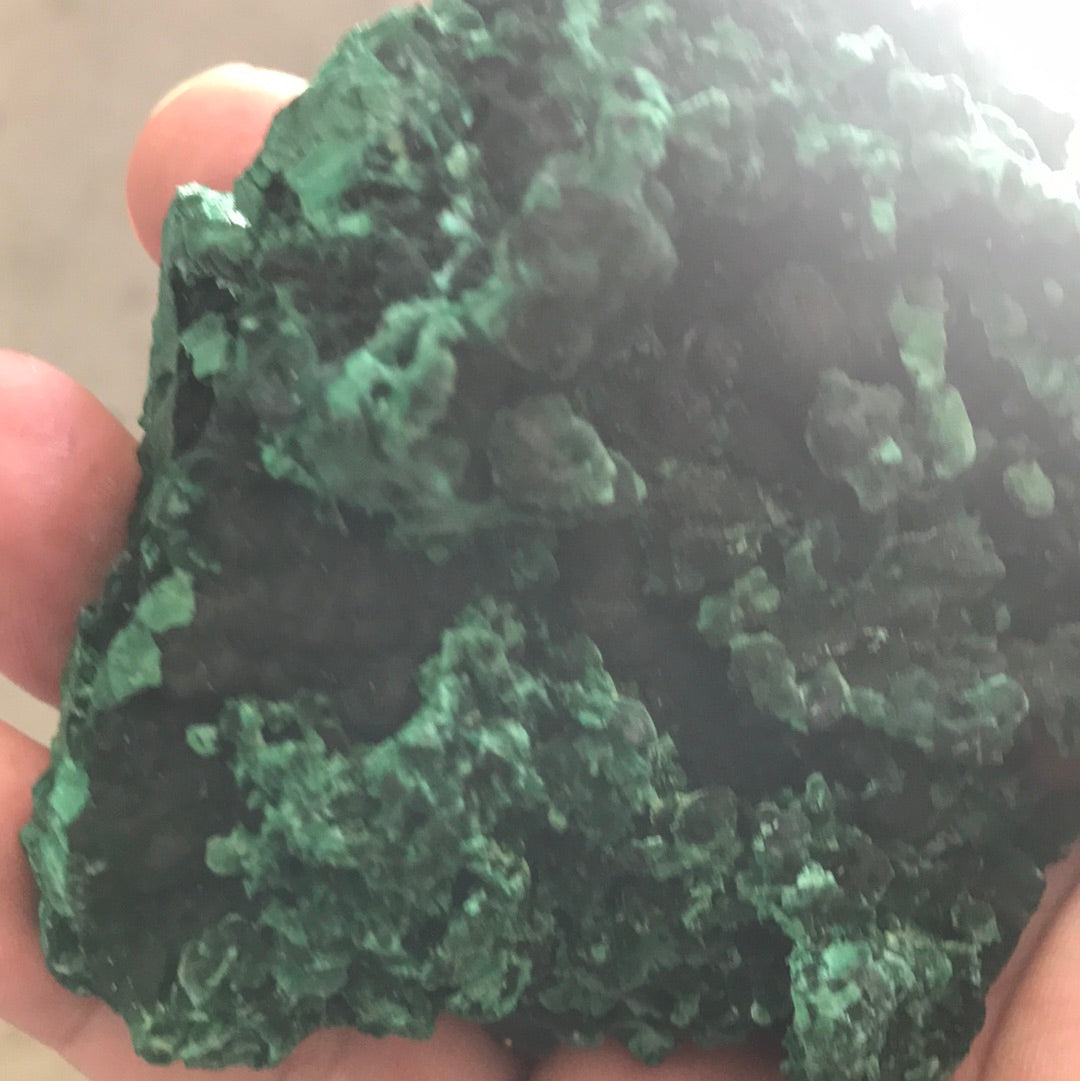 Velvet malachite Shelby