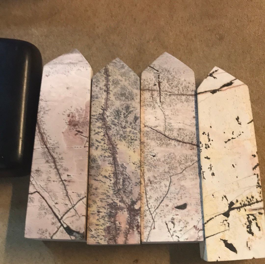 Picture Jasper Sean (batwing)