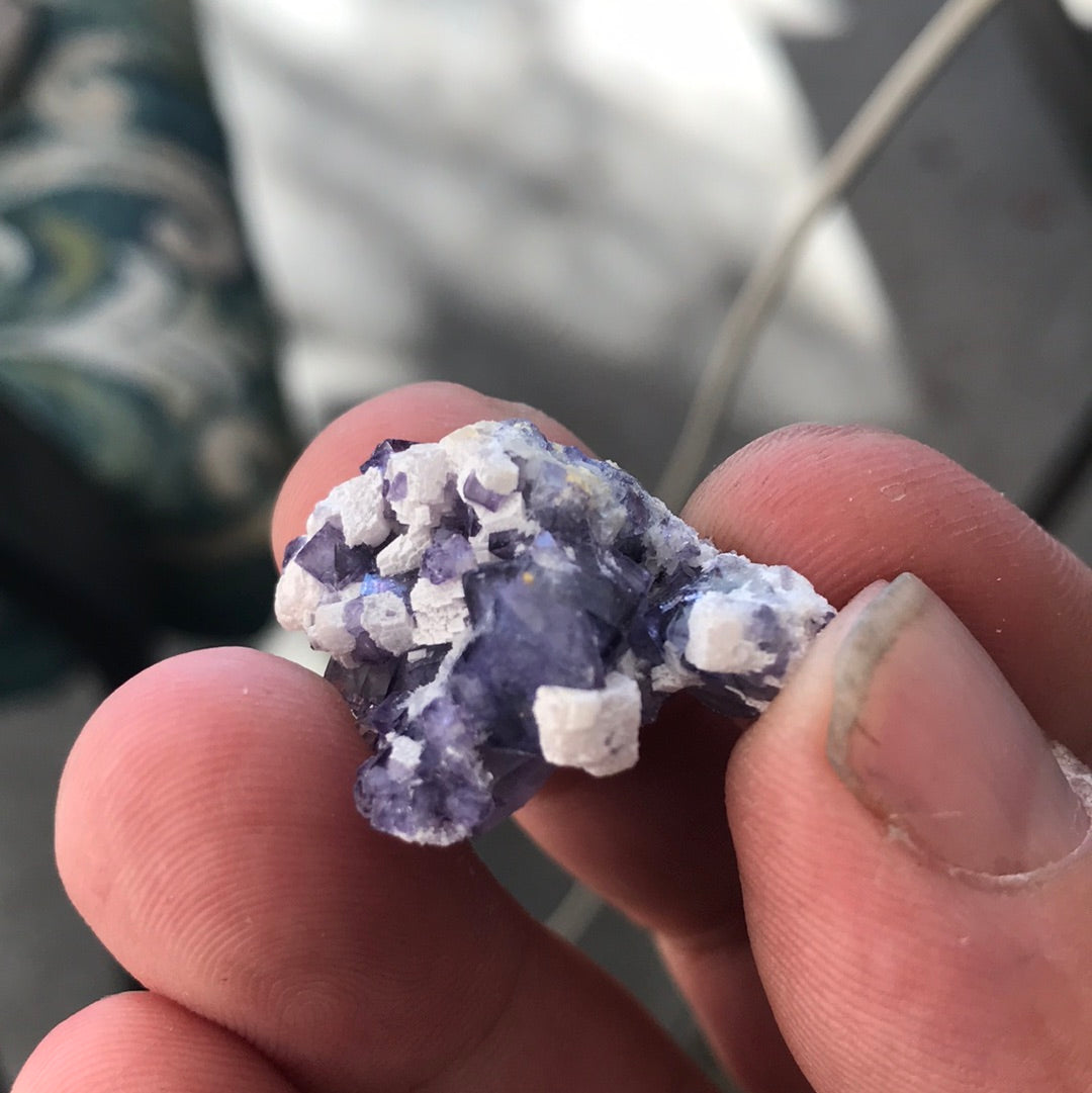 YGX Fluorite Morgan purple side fluorite