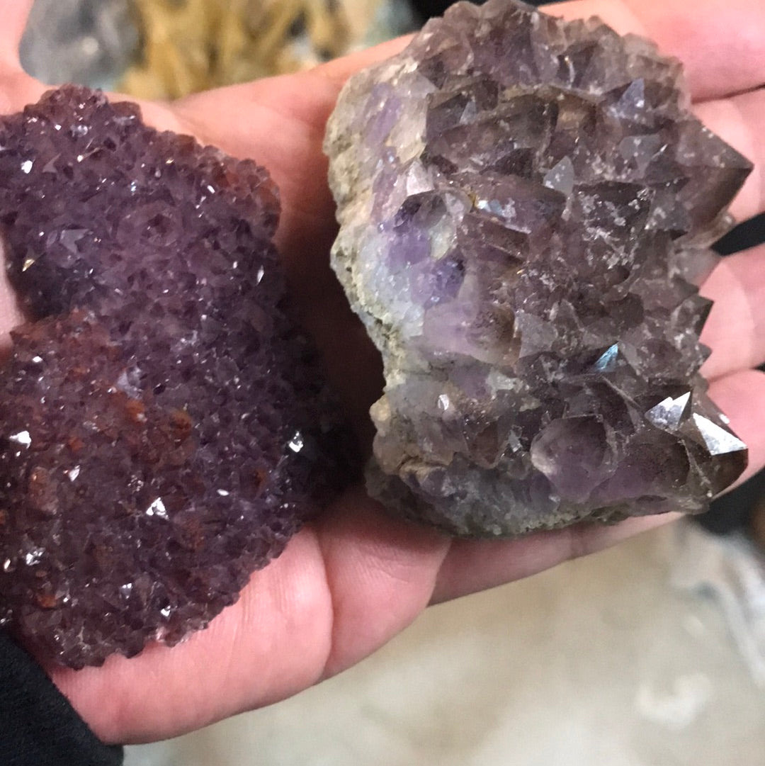 Thunder Bay amethyst shark
