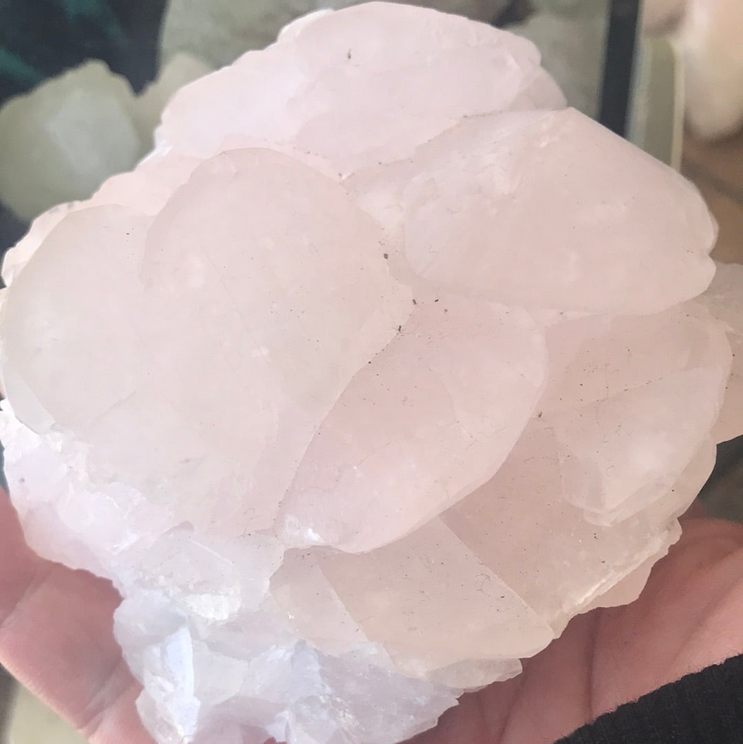 Pink mushroom calcite weird leard