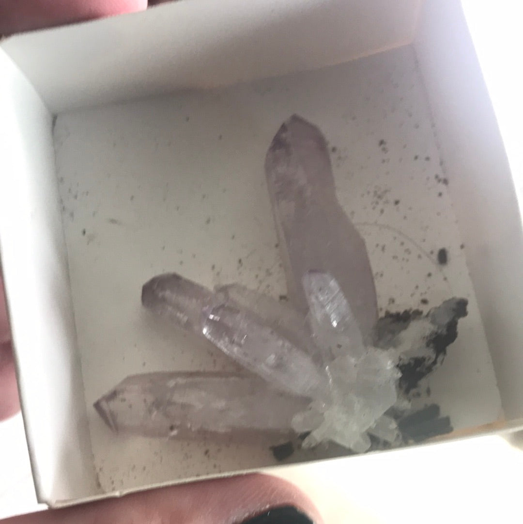 Vera Cruz Amethyst Nina noxious