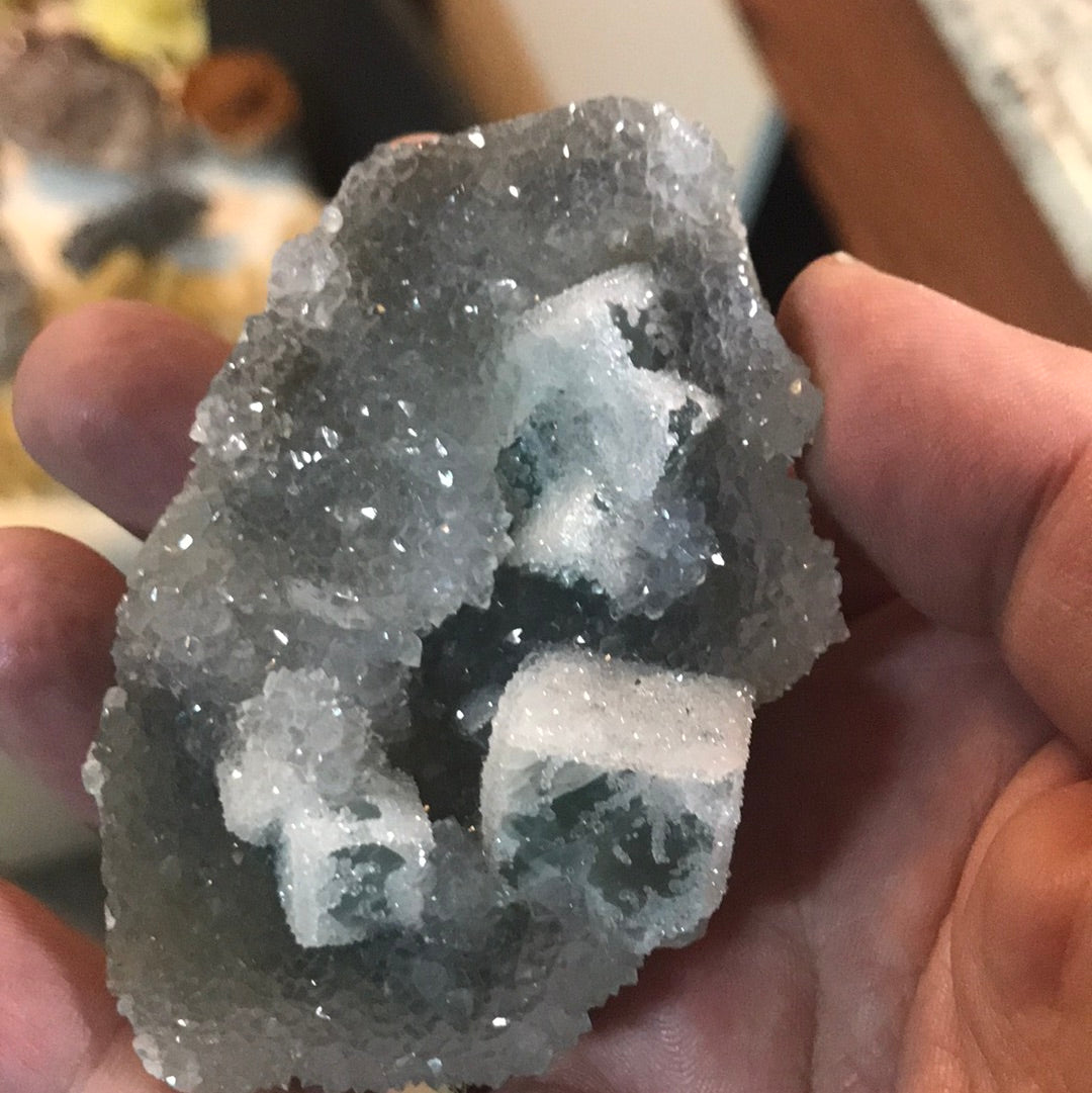 Thunder Bay amethyst shark