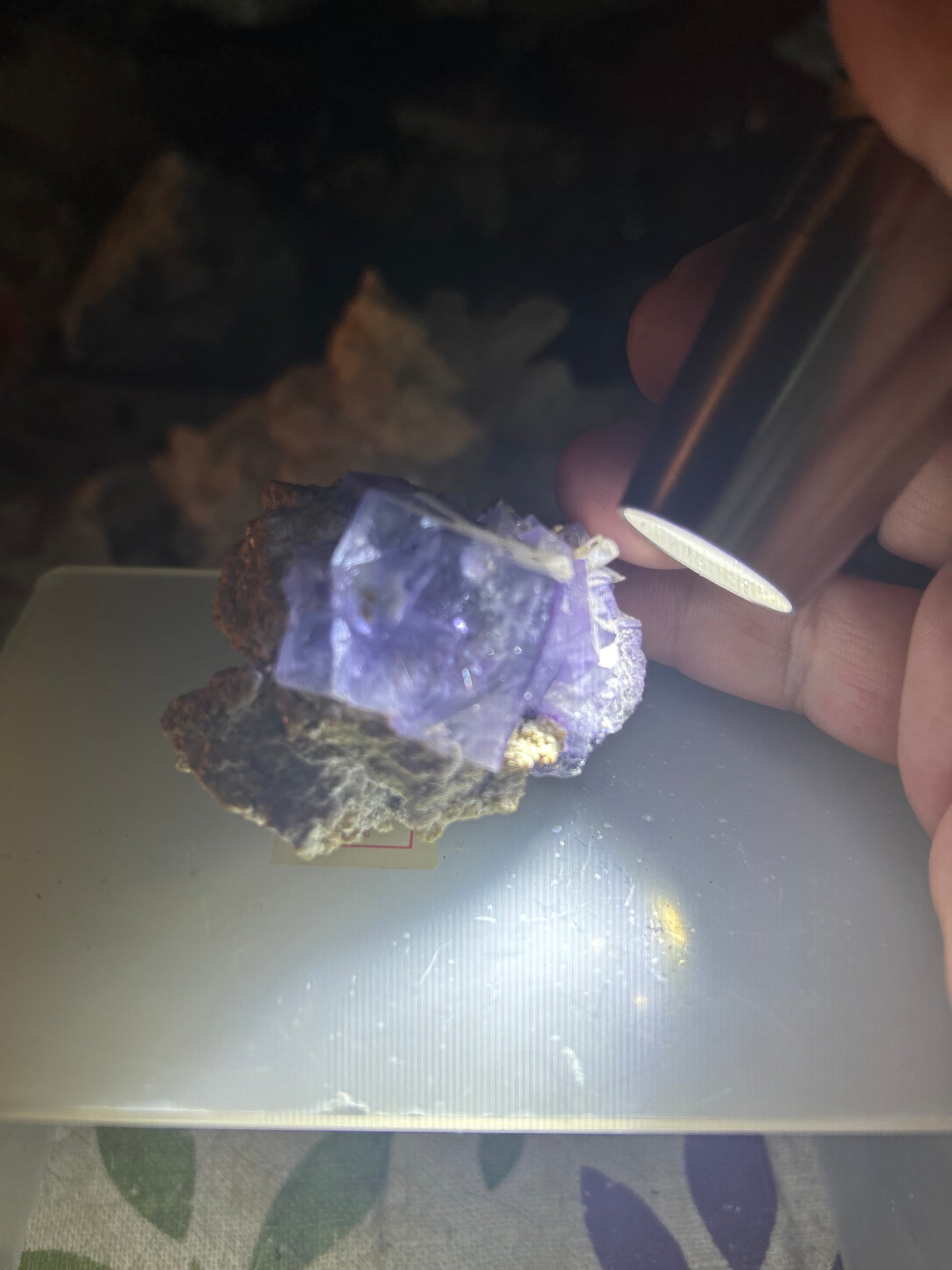 Pair of Cubic Purple Phantom Fluorite Clusters
