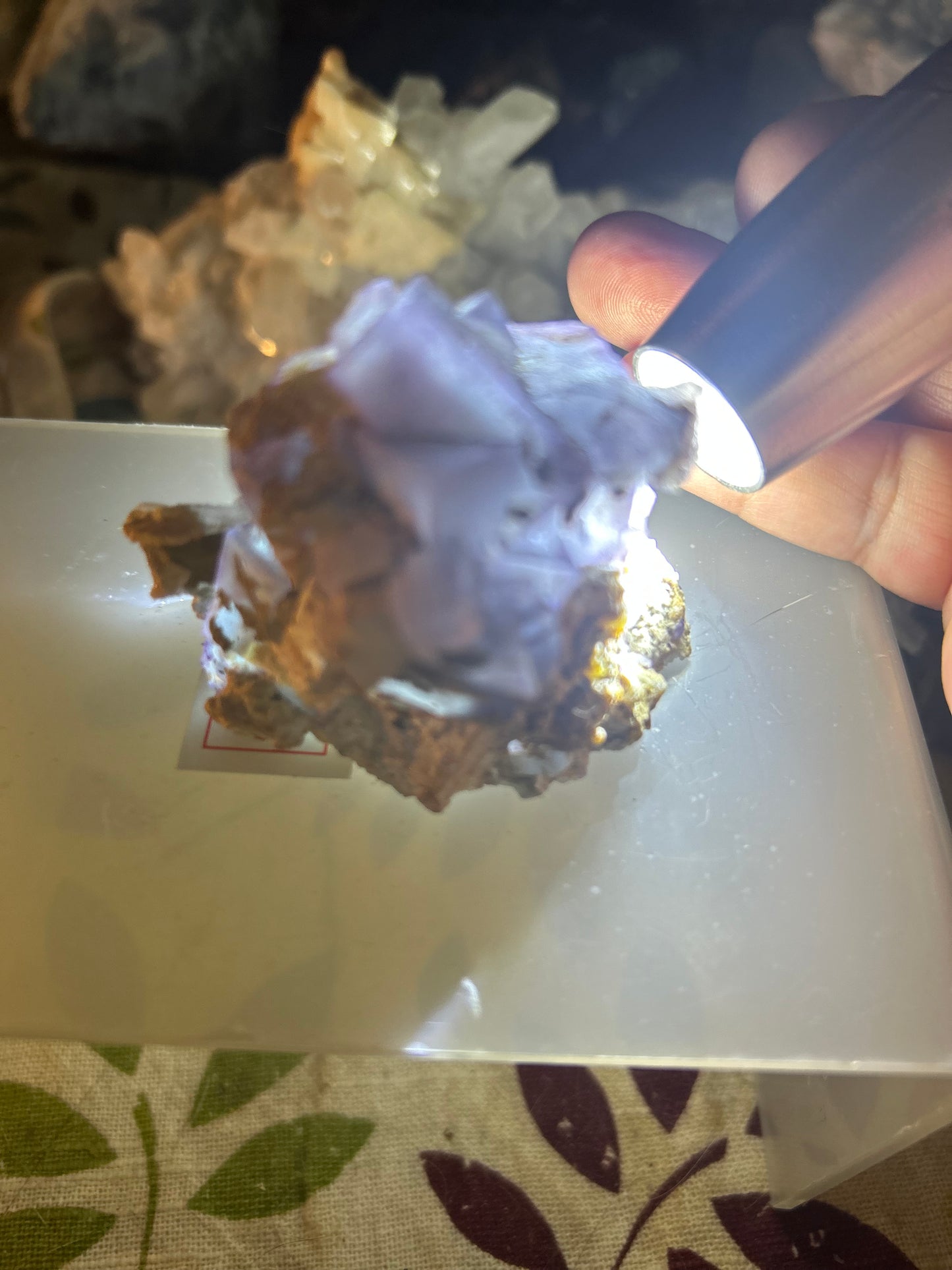 Pair of Cubic Purple Phantom Fluorite Clusters