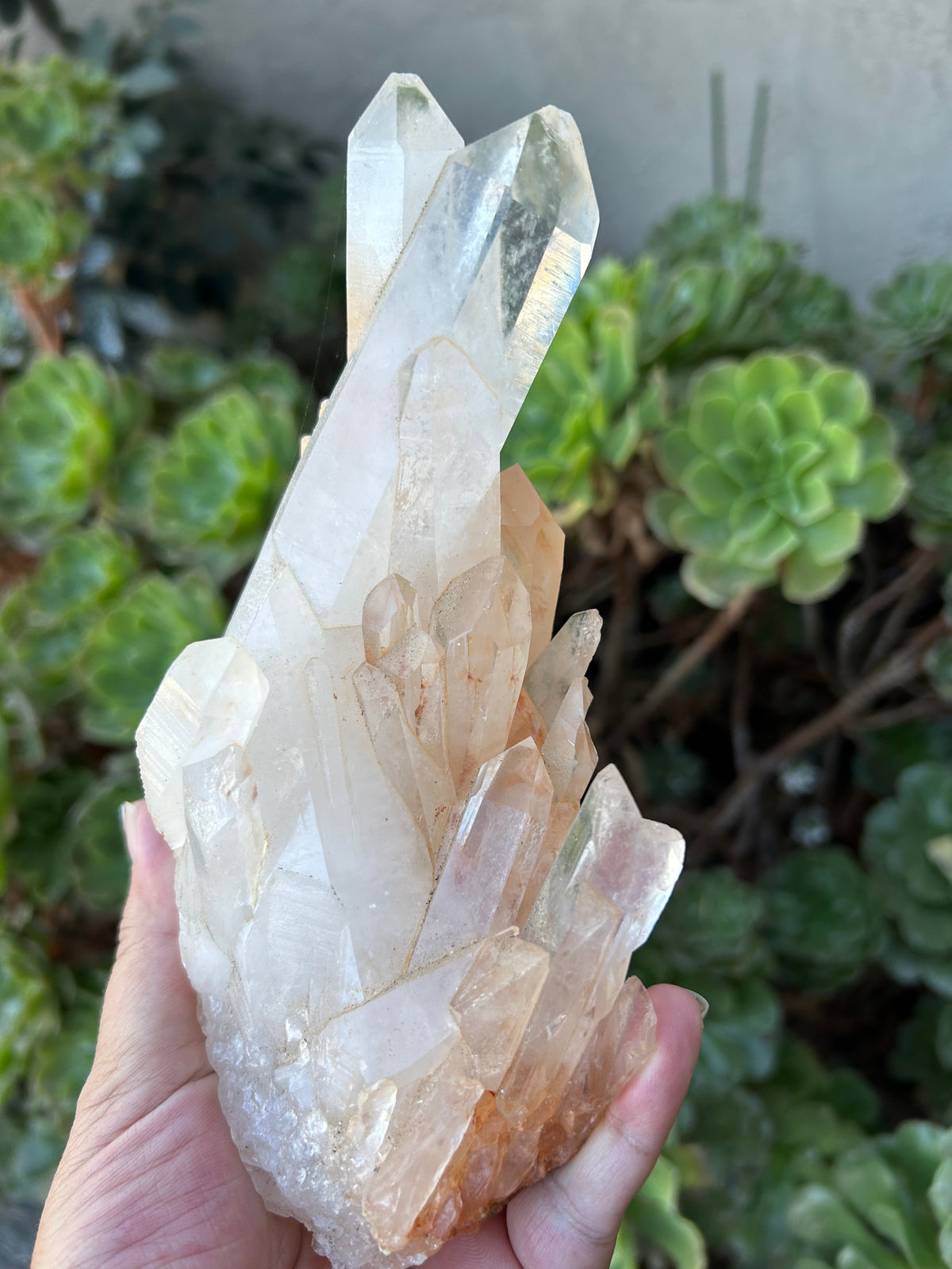 Tangerine Twin Quartz Point Madagascar