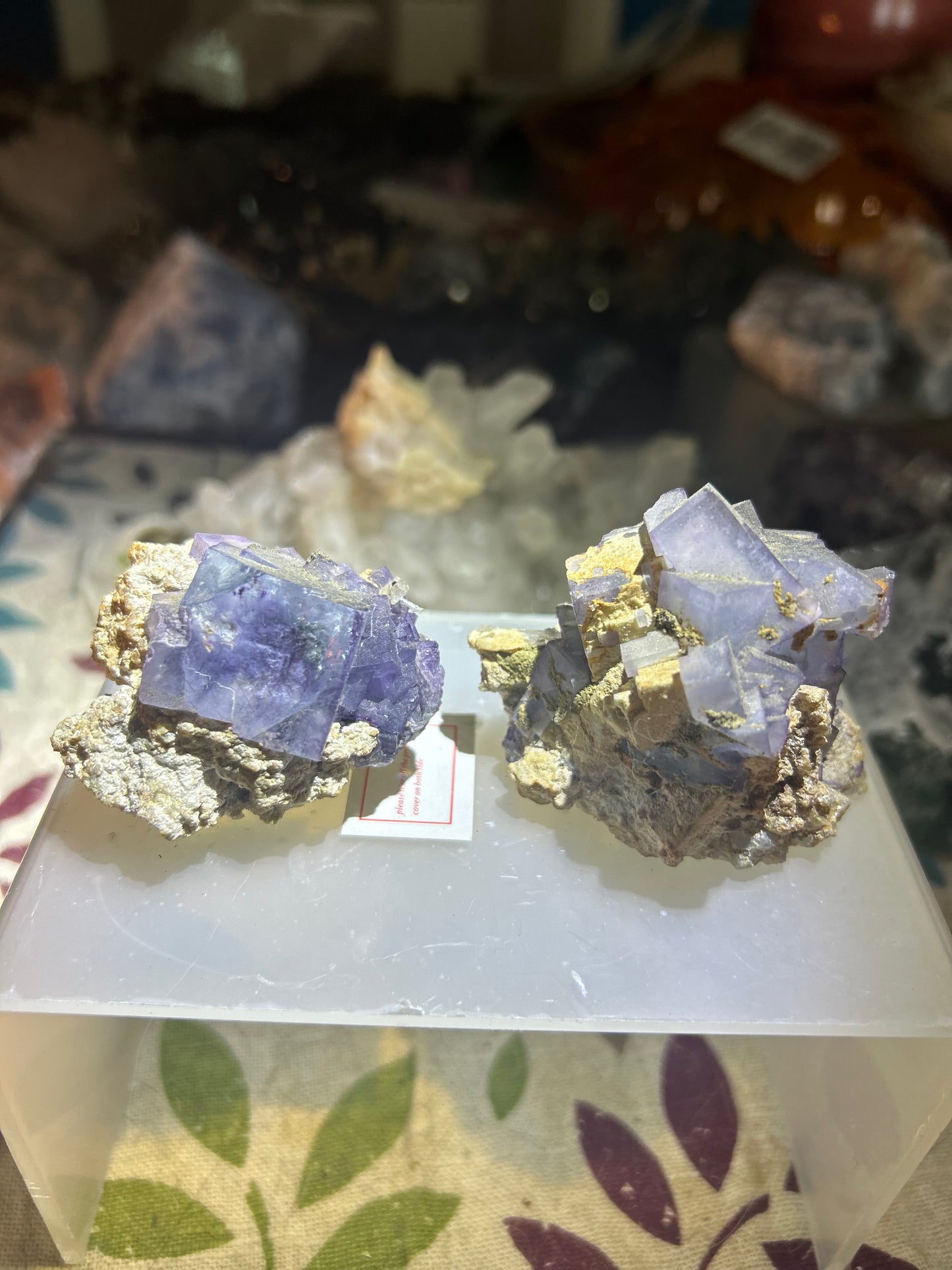 Pair of Cubic Purple Phantom Fluorite Clusters