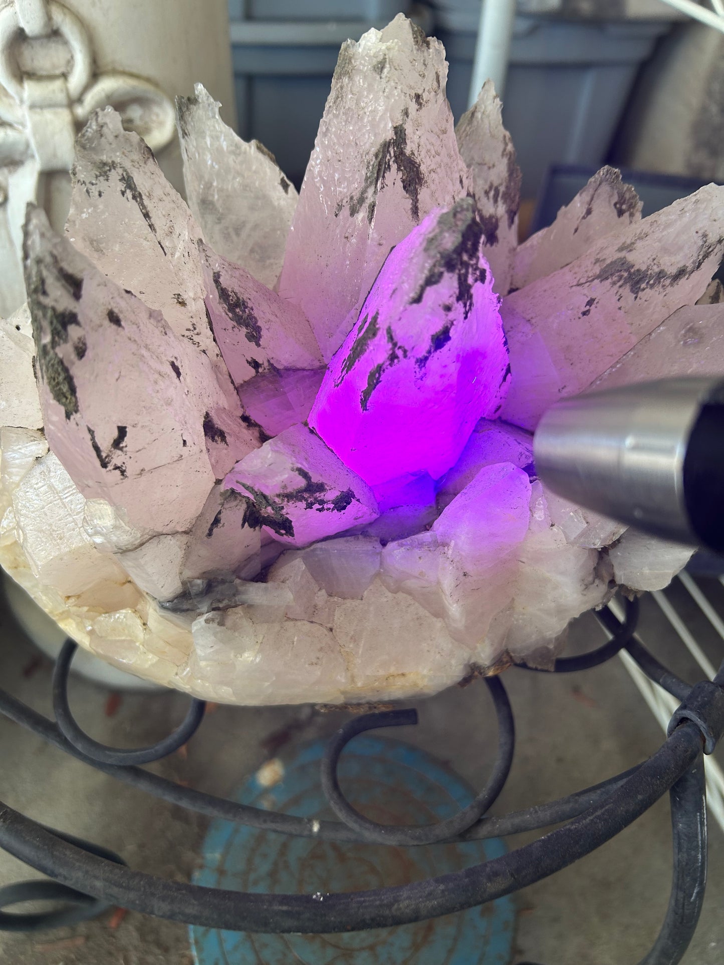 Large Pink Dogtooth Calcite Cluster Stunning Pink UV! Rare Find