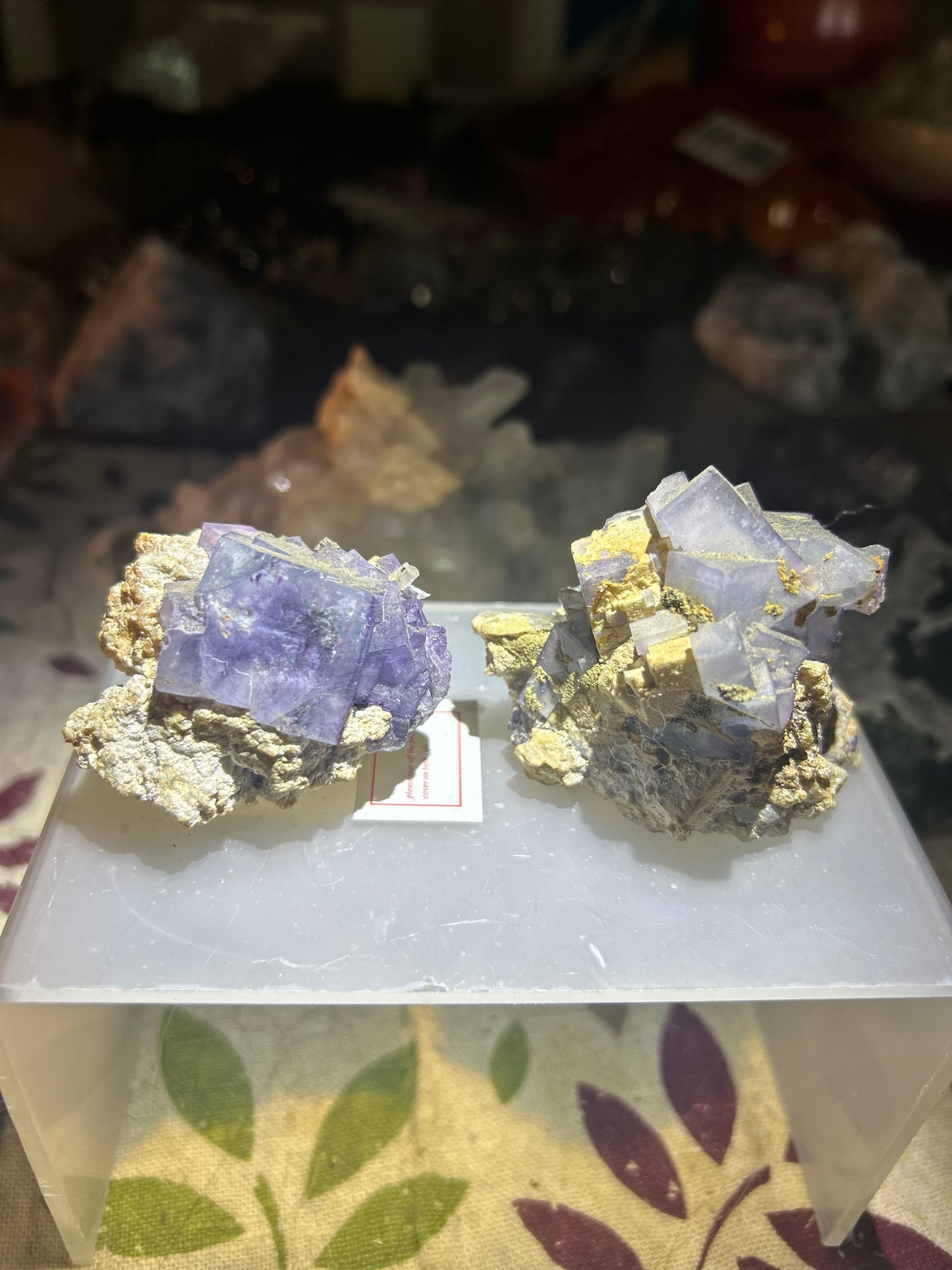 Pair of Cubic Purple Phantom Fluorite Clusters