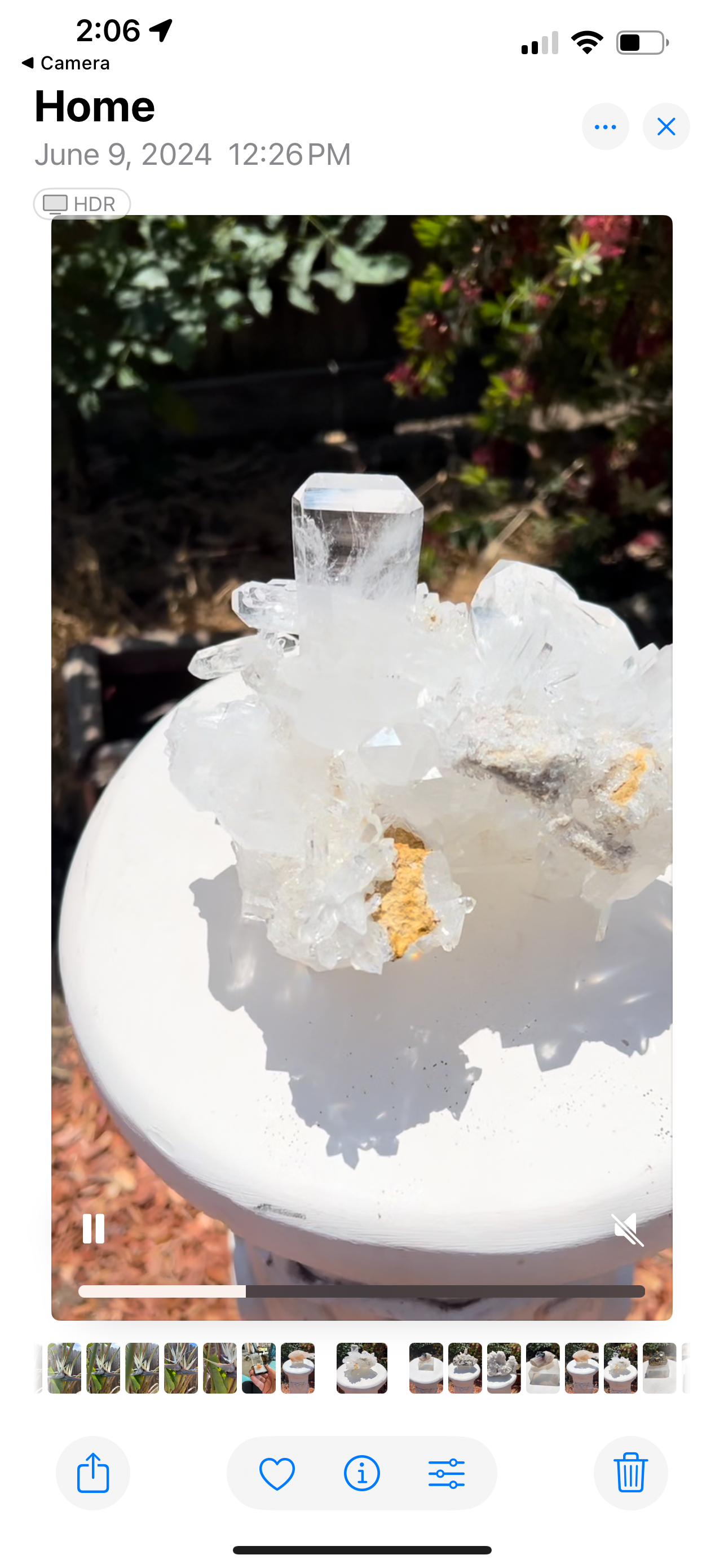 Clear Quartz Cluster