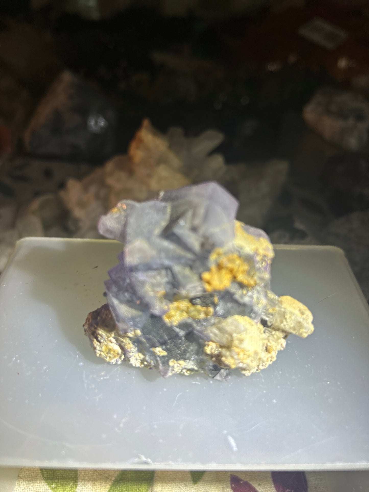 Pair of Cubic Purple Phantom Fluorite Clusters