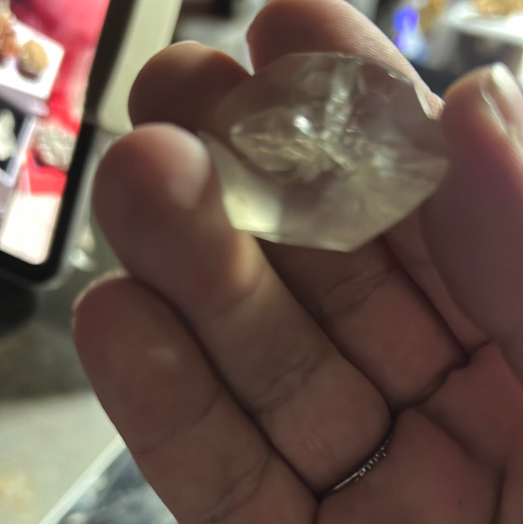 Fehr selenite manifest