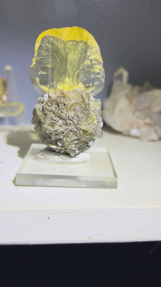 Duck Bill Selenite (red river selenite)
