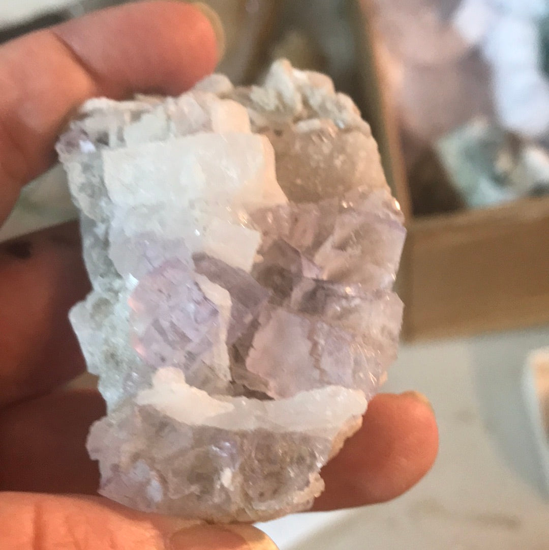 Fluorite freeforms KC