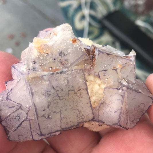 Purple window fluorite rosex
