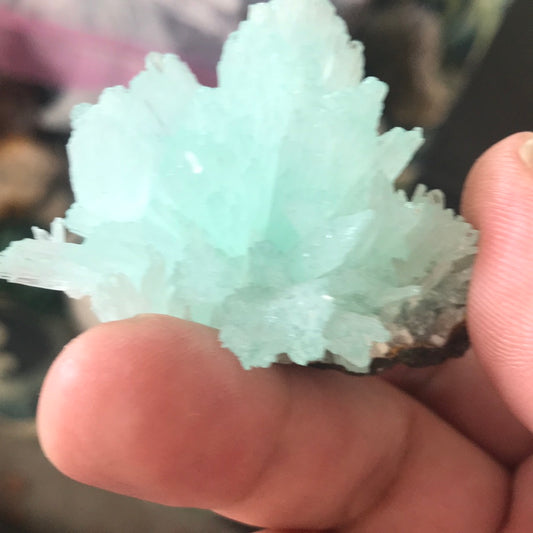 Blue Aragonite Chaz green fluorite