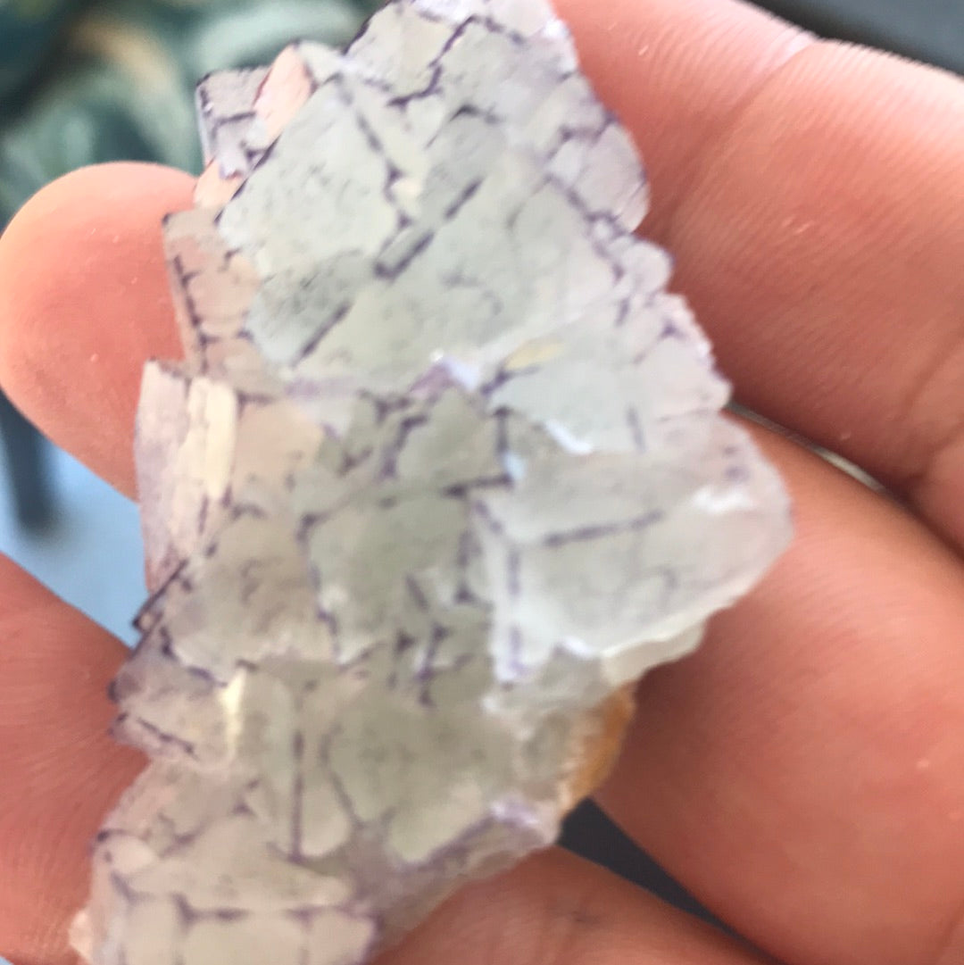 Blue Sugar fluorite Sam W purple side fluorite