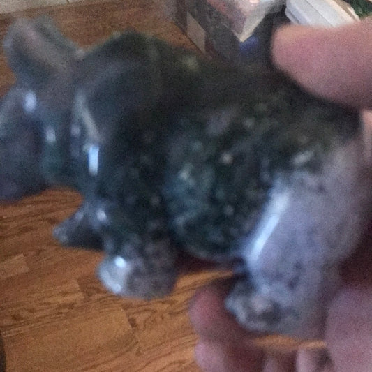 Jasper rhino